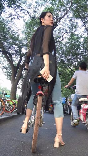 深圳顺丰快递查询